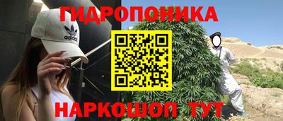 шишки Ликино-Дулёво