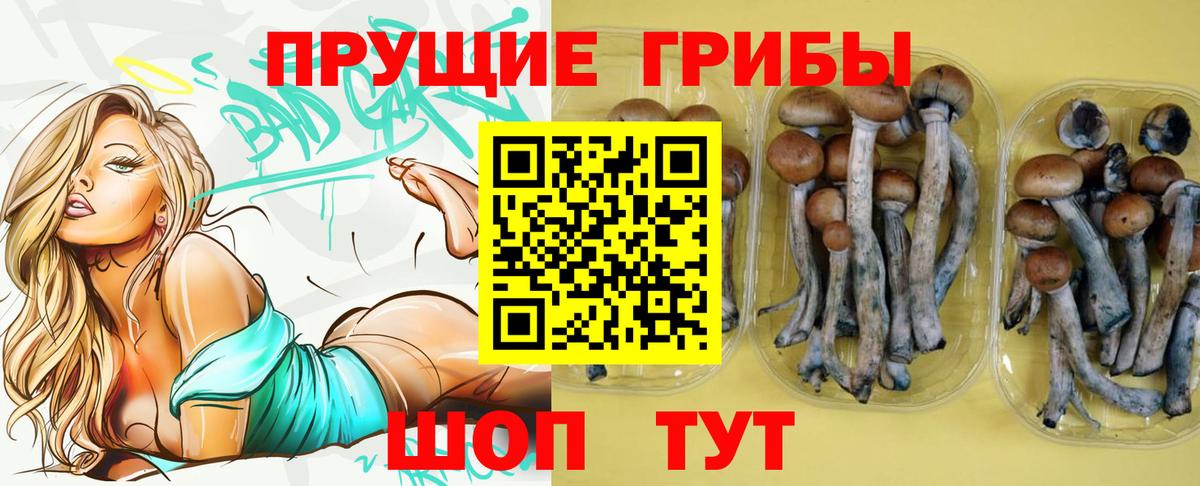 купить наркотик  Псилоцибиновые грибы мухоморы  Вход с VPN  Татарск 